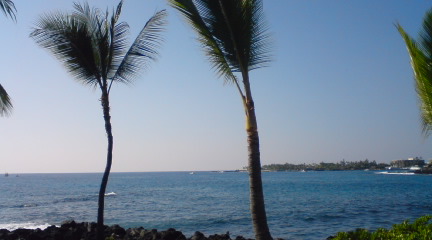 PA0_0103.jpg