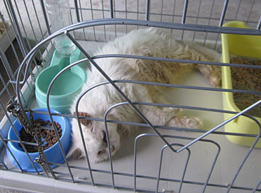 2012090202