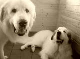 image003.jpg