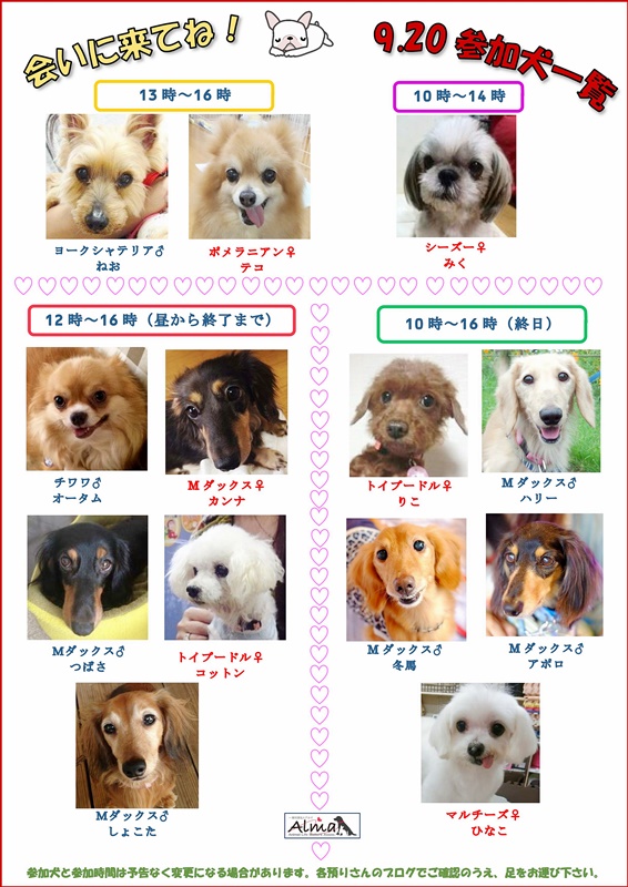 Reflex参加犬一覧140920