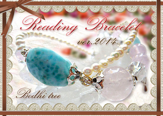 リーディングブレス2014