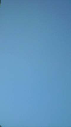 2012013115470000.jpg