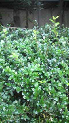 2012013115490000.jpg