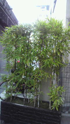 2012020116030001.jpg