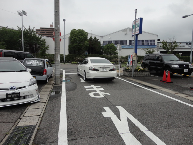DSC08111.jpg