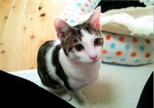 o0500035011909748165[1]