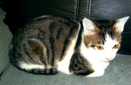 o0500032411909748166[1]