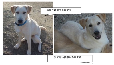 fc2blog_2012050614280815b[1]