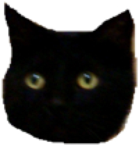 写真_ネコ_kuro_Icon2_20110916