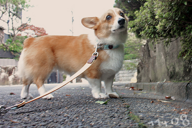 なんですか？