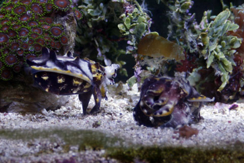 4_20120414190509.jpg