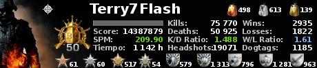 ps3_terry7flash.png