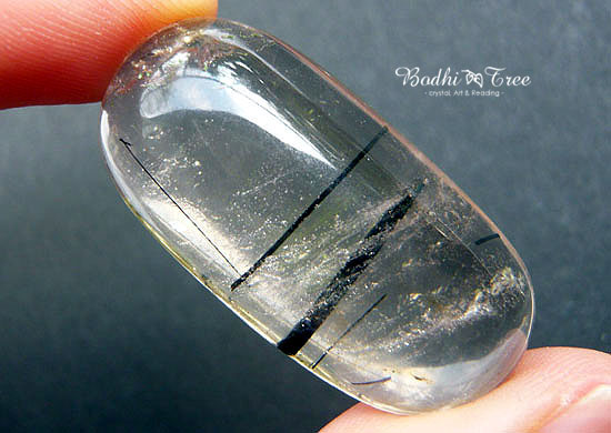 ザキクオーツ・ルース