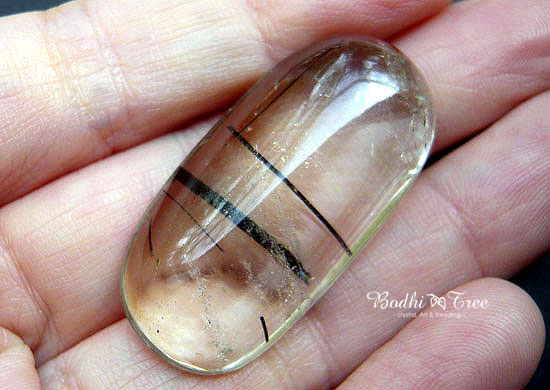 ザキクオーツ・ルース