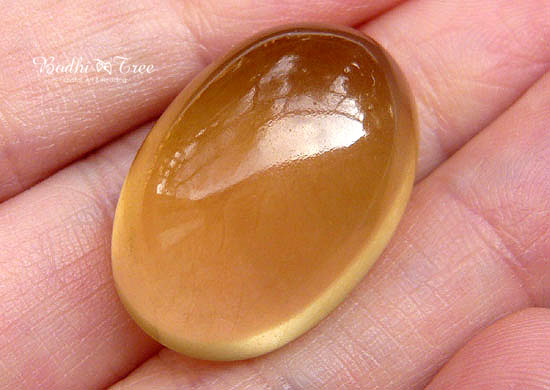 ザキクオーツ・ルース