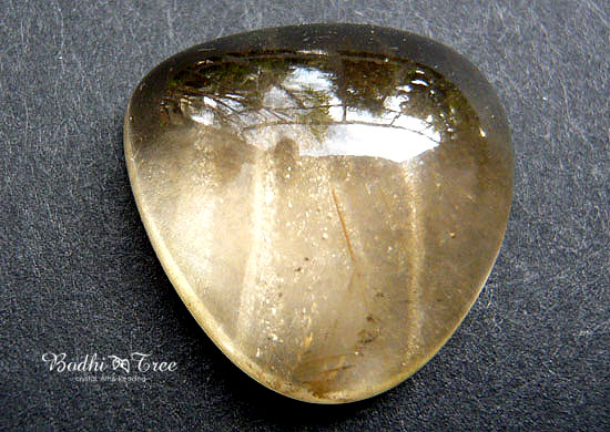 ザキクオーツ・ルース