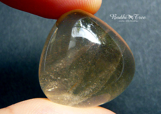 ザキクオーツ・ルース