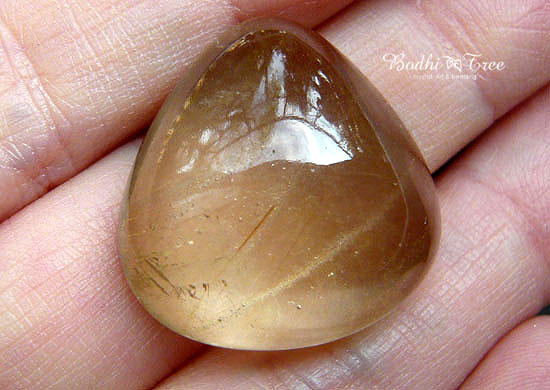 ザキクオーツ・ルース