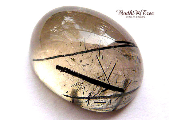 ザキクオーツ・ルース