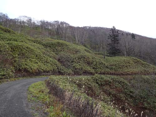 DSC00061B.jpg
