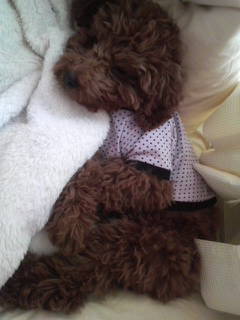 2010040112280000.jpg