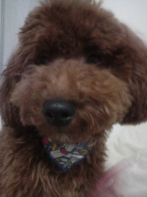 2010061500070000.jpg