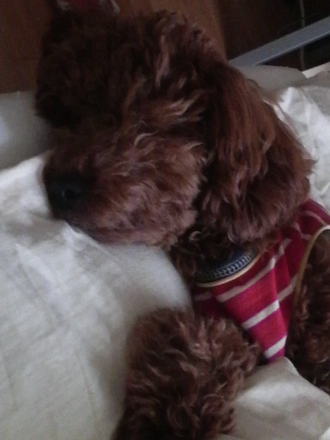 2010071517000000.jpg
