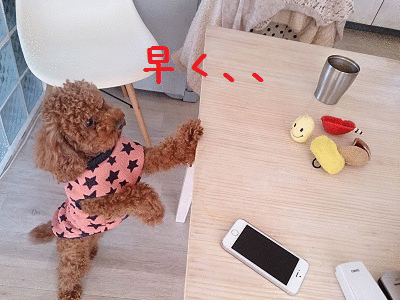 1387200257iD4ubCRdkkNyvlf1387200256.gif