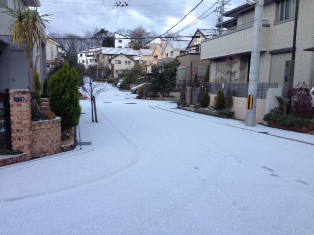 雪が降った彩都　北大阪ペーパードライバー