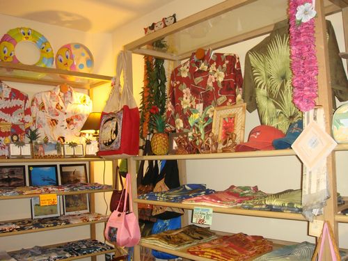 DSC01875 500