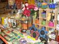 DSC01894 500