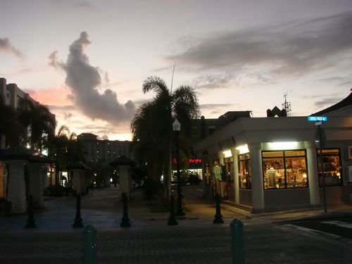 DSC01934 500