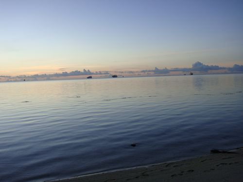 DSC00413 500