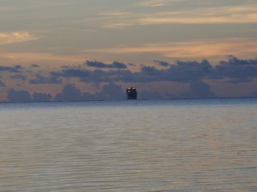DSC00405 500