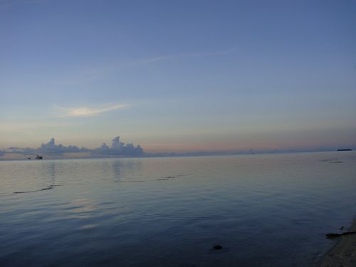 DSC00400 500