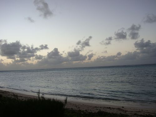 DSC00076 500
