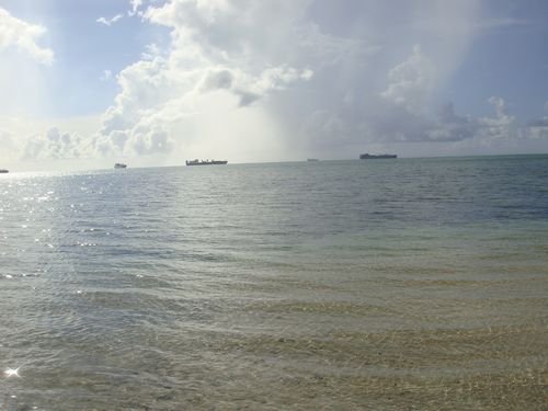 DSC03200 500