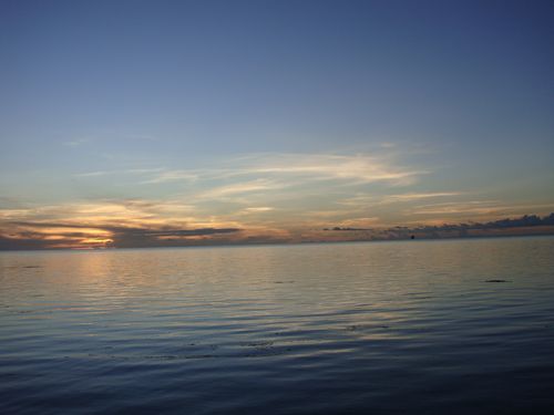 DSC00403.jpg