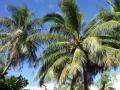 DSC00582.jpg
