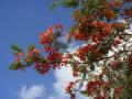 DSC02247.jpg