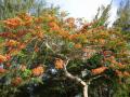 DSC02249.jpg