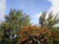 DSC02251.jpg