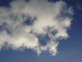 DSC02253.jpg