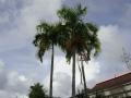 DSC02293.jpg