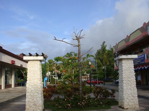DSC02456.jpg