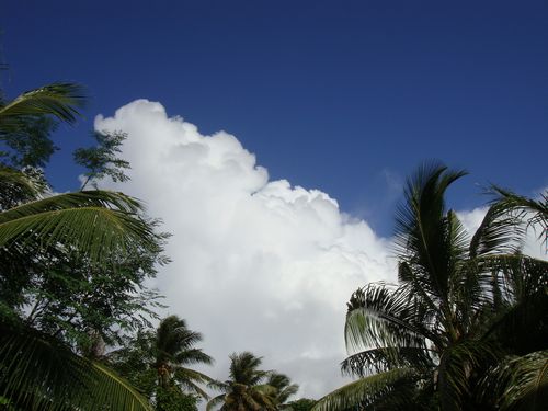 DSC03169.jpg