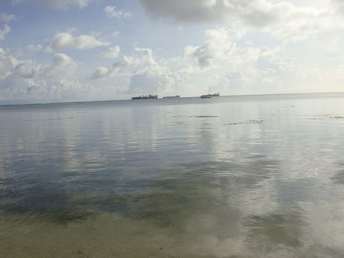 DSC03872.jpg