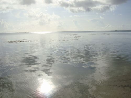 DSC03873.jpg