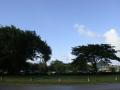 DSC03891.jpg