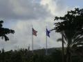 DSC03894.jpg